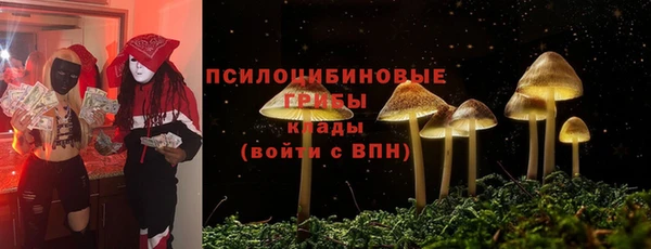 ECSTASY Алексин