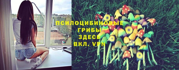 ГАЛЛЮЦИНОГЕННЫЕ ГРИБЫ Алексеевка