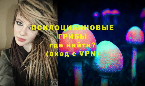 ECSTASY Алексин
