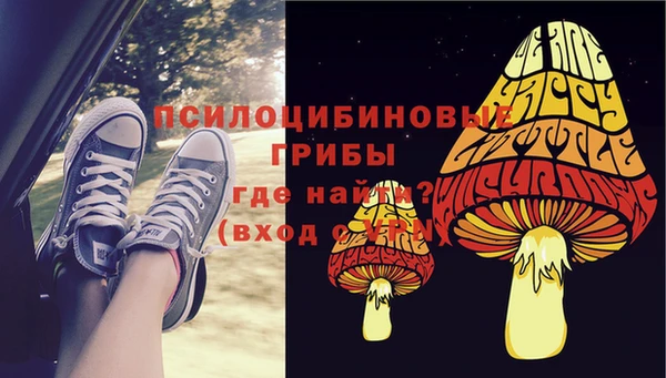 ECSTASY Алексин