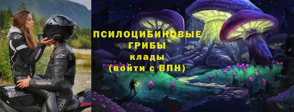 ГАЛЛЮЦИНОГЕННЫЕ ГРИБЫ Алексеевка